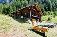 Chalet in Les Haudères - Mayen Praz dau Lauc Charme et nature 4 personnes