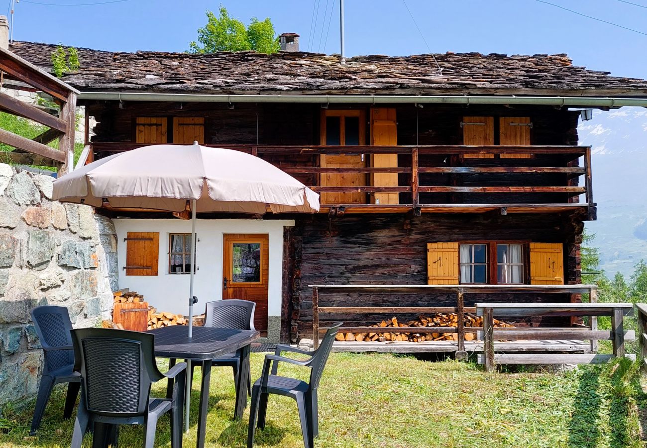Chalet à Evolène - Mayen Farquesses Mayen de Montagne  4 personnes