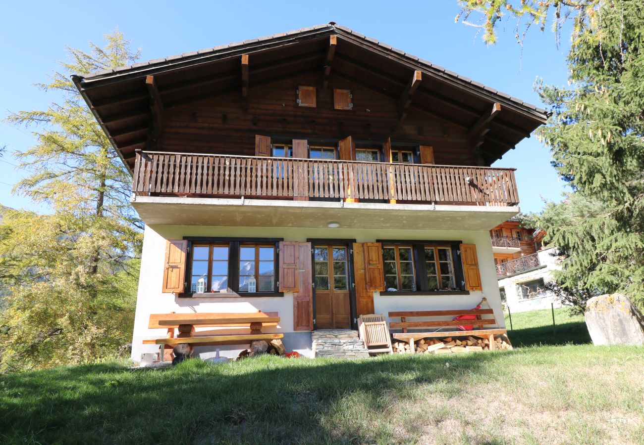 Chalet à Evolène - Le Bouquetin - Chalet familial- 8 personnes